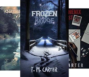 Fiction Book Cover illustrations