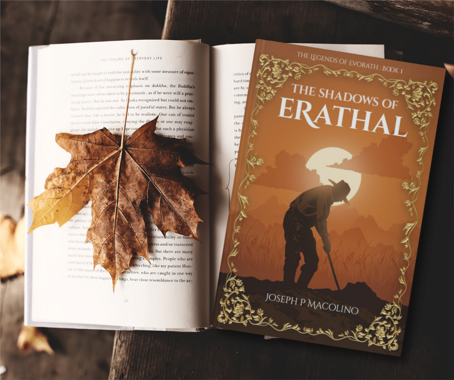 Social Media Graphics