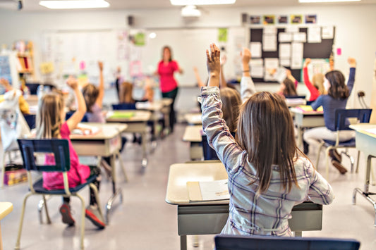 Recent Academic Changes in Memphis