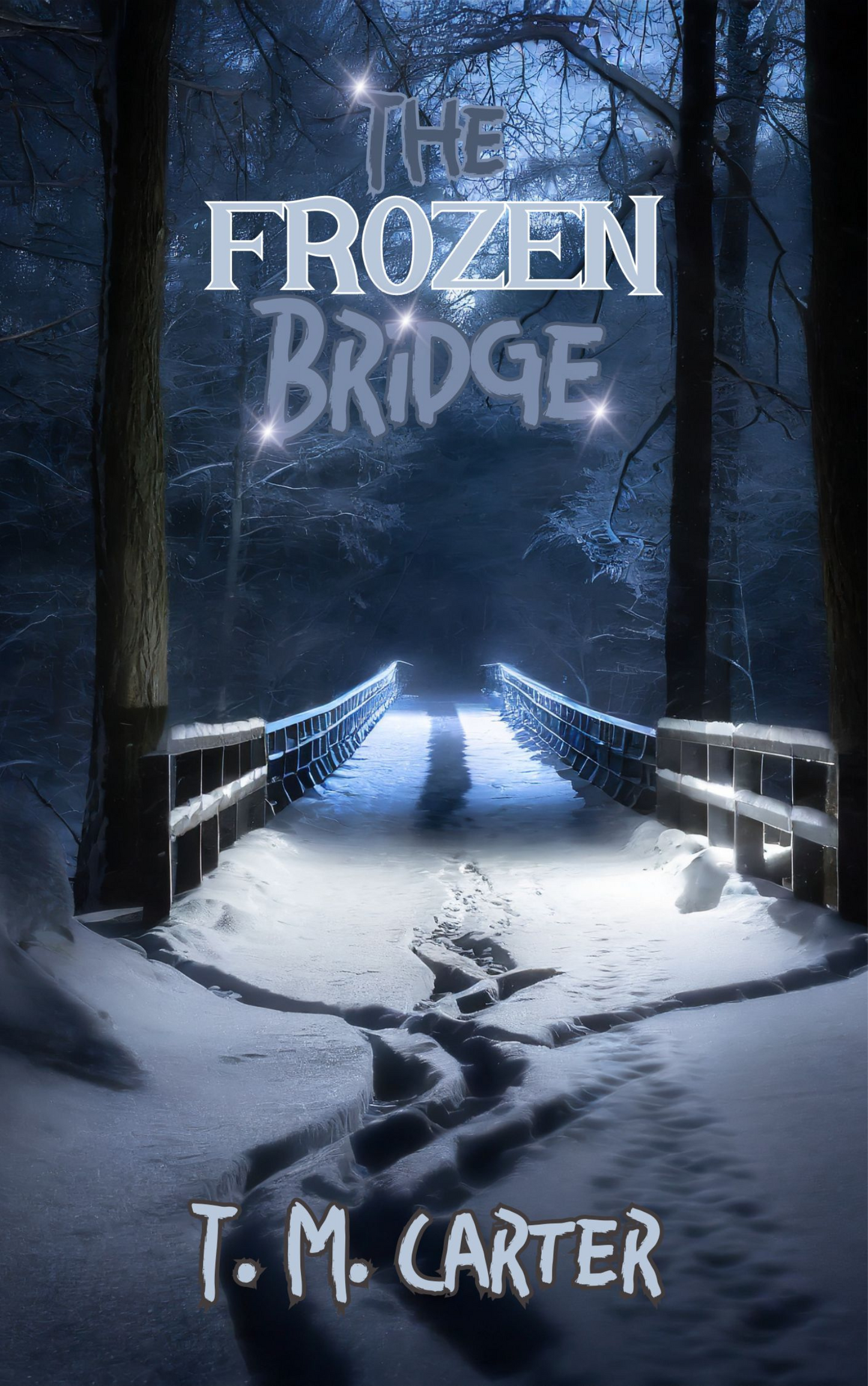 Fiction Book Cover illustrations