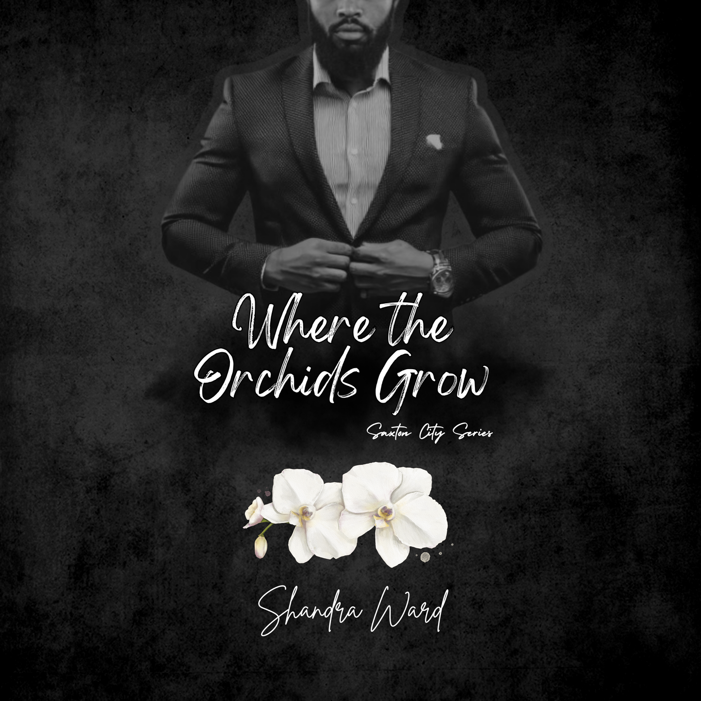 Fiction Book Cover illustrations